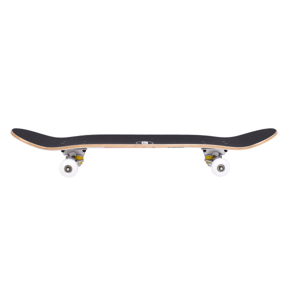 Gördeszka skateboard AGA MR6098-1 31"